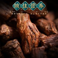修年堂 蒲公英根茶300g/罐 蒲公英大根长白山蒲公英根茶 婆婆丁根 养生茶