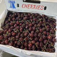 鑫果滋 车厘子 大连美早大樱桃山东车厘子jjjj级国产车里子水果礼盒 (净重) 【小果】XL24-26mm