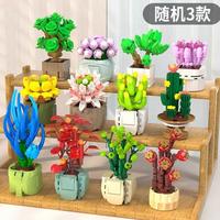启智乐 多肉盆栽拼装摆件兼容乐高