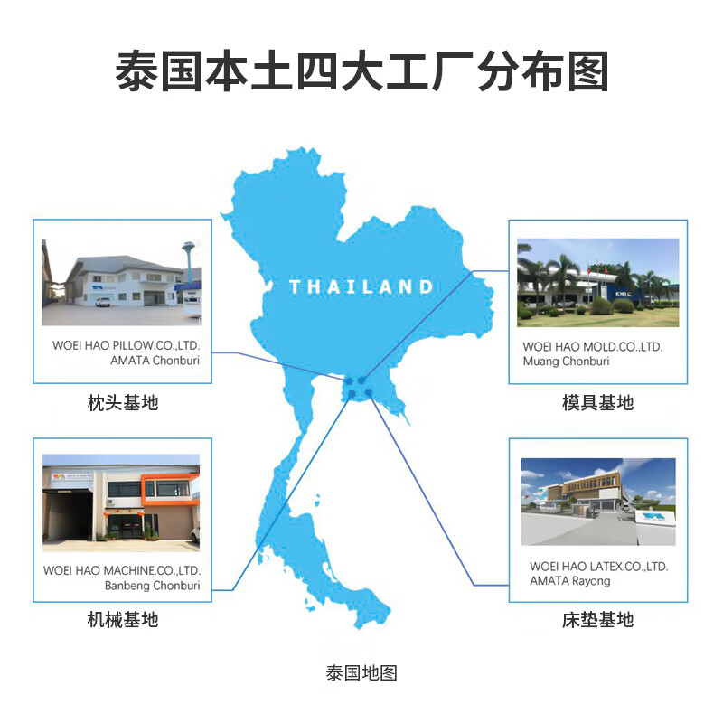  THAISEN 94%含量 乳胶枕头  【超大面包枕】加大形面升级透气 一只装
