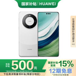 华为 HUAWEI Mate 60 Pro 手机 12GB 256GB 白沙银