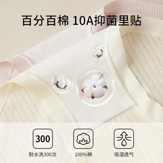 猫人内裤女纯棉抗菌裆2025中腰收腹提臀透气莫代尔女三角短裤 浅粉+浅虾红+灰兰 M