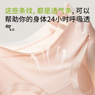 猫人内裤女纯棉抗菌裆2025中腰收腹提臀透气莫代尔女三角短裤 浅粉+浅虾红+灰兰 M