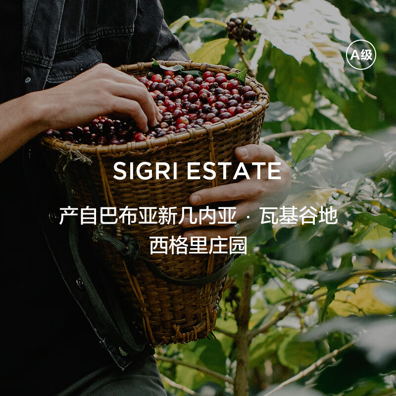 MARYLINGCaffe巴布亚新几内亚天堂鸟精品咖啡豆单品手冲新鲜中度烘焙150g