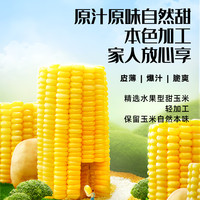 十月稻田水果玉米粒800g脆爽爆汁甘甜开袋即食独立包装真空