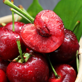 京鲜生 每斤11元、限量预售！当季头茬山东大樱桃/国产车厘子 净重4.5斤（单果22-26mm）