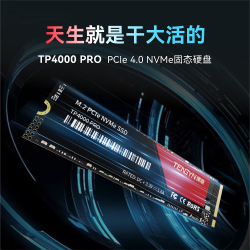 腾隐 TP4000PRO NVMe M.2 固态硬盘 2TB（PCI-E 4.0）