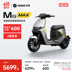 九号 Mz MAX 电动自行车 智能智驾 长续航新国标可上牌  到门店选颜色