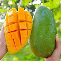 雪束云南大青芒新鲜芒果现摘水果 大青芒 净重5斤(单果100-300g)