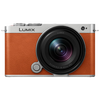 松下 Panasonic S9（18-40mm F4.5-6.3）套机（Panasonic） 全画幅微单 实时Lut 滤镜直出