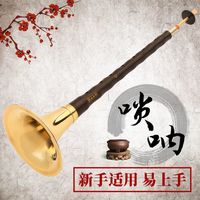 欧因初学唢呐红木乌木黑 檀木乐器全套D调d民族大小号喇叭入门演奏 乌木D调黄碗+十大赠 品