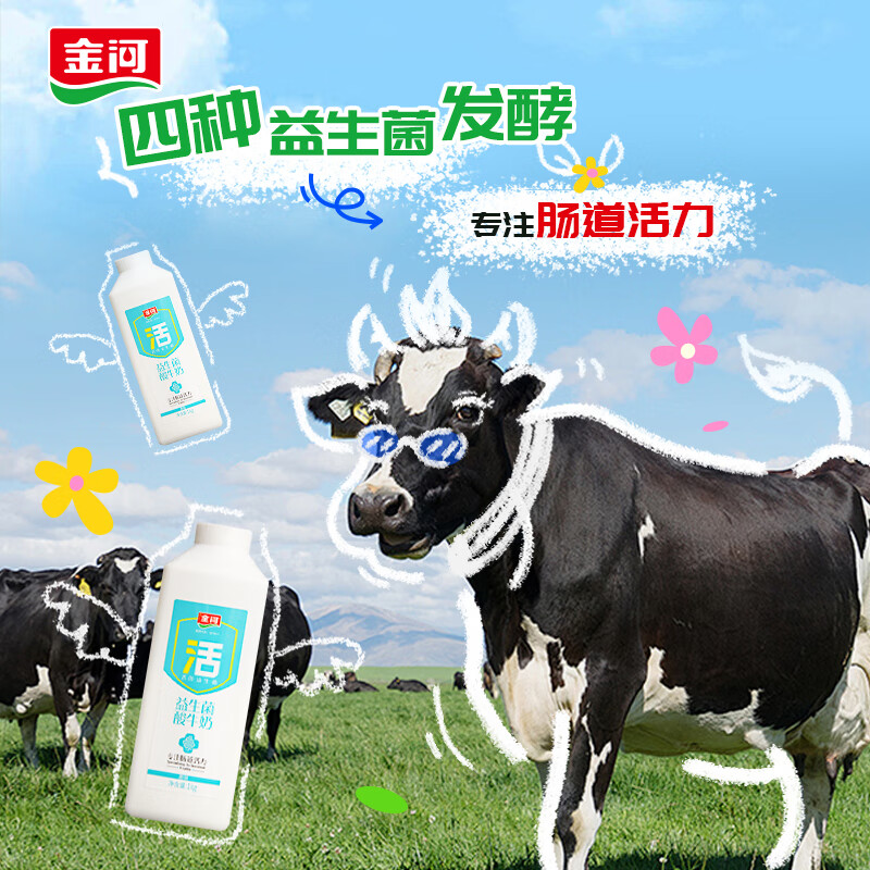 金河酸奶 宁夏特产益生菌酸奶大容量代餐酸奶