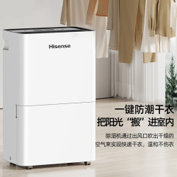 海信 Hisense 除湿机12L/天除湿量 回南天家用抽湿机地下室 轻音卧室净化干衣抽湿器去湿防潮 宿舍除湿神器除潮