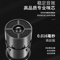 唱吧 U9无线车载麦克风 k歌专业通用汽车内唱歌话筒适用唱吧车载版APP【车载专享-双支装】 奇瑞EXEED星途