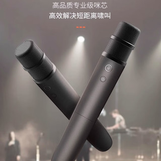 唱吧 U9无线车载麦克风 k歌专业通用汽车内唱歌话筒适用唱吧车载版APP【车载专享-双支装】 奇瑞星途追风
