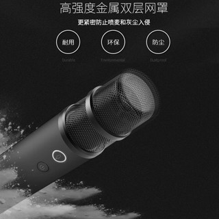 唱吧 U9无线车载麦克风 k歌专业通用汽车内唱歌话筒适用唱吧车载版APP【车载专享-双支装】 奇瑞星途追风