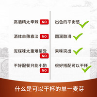 维京武士 果味突出 圆润醇滑 苏格兰单一麦芽威士忌