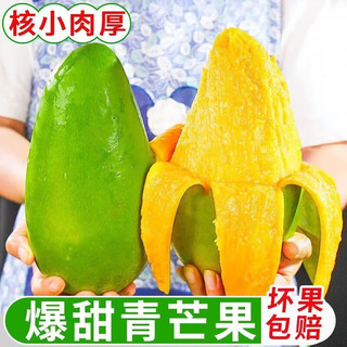 雪束云南大青芒新鲜芒果现摘水果 青芒 净重9斤（单果100-300g）