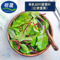 听蔬 有机甜菜叶(幼叶)红梗菠菜 现摘现发 无农残 15天内幼叶嫩叶 50g