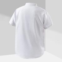 夏季时尚男士衬衫商务休闲格纹合体翻领短袖衬衫男