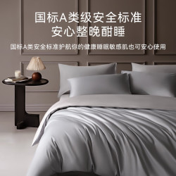京东京造 60支纯棉四件套 100%新疆长绒棉贡缎 A类轻奢 1.8米床