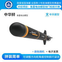 ZT MODEL 中天模型 中华鲟鱼雷电动模型（颜色随机）