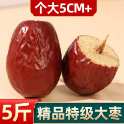 寒山石 新疆和田大枣500g红枣蜜饯果干免洗即食骏枣玉枣煲粥泡茶枣子零食 红枣500g*1袋