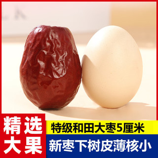  寒山石 免洗 和田大枣