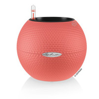 Lechuza puro color 20 圆球形状塑料储水桌面智能花盆 橘红色