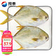 翔泰 深海金鲳鱼 900g