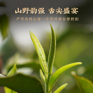 澜沧古茶2013年古木早春普洱生茶云南普洱茶生茶茶叶 礼盒 【十年老生茶】单饼345g