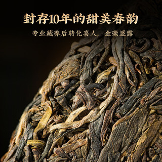 澜沧古茶2013年古木早春普洱生茶云南普洱茶生茶茶叶 礼盒 【十年老生茶】单饼345g