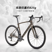 SPECIALIZED S-WORKS ROUBAIX SL8 RED AXS 碳纤维公路自行车