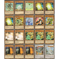 元气小猴 STRONG MONKEY 游戏王卡组青眼白龙 光龙 立体龙 混沌极龙 真青眼究极龙 城之内 高桥法老王的召唤 70张