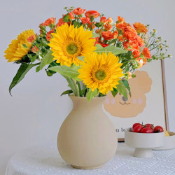 京东鲜花 橙芭比5枝+向日葵3枝+洋甘菊一束组合鲜花云南鲜花源头直发
