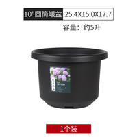 老花农 大号花盆蓝莓盆栽黑加仑盆绿萝月季圆形多肉花盆大口径塑料种菜盆