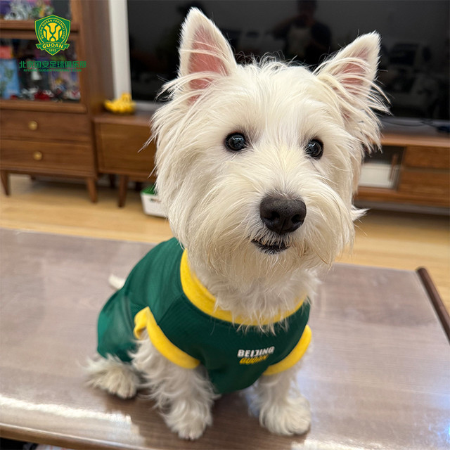 中赫国安 萌宠宠物服 KF00702126 T恤衫