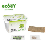 生态E园 ecoeY 儿童种植阳台种菜科学实验玩具 小白菜