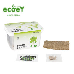 生态E园 ecoeY 儿童种植阳台种菜科学实验玩具 小白菜