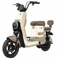 宝岛 TDT1840Z 电动车 TDT1794Z 48V20AH