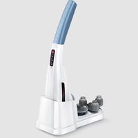 凯仕乐 KASRROW 美国凯仕乐海豚按摩器棒敲打锤颈椎腰部背部全身电动手持式震动仪