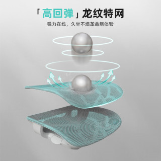 ENOVA 智慧家护腰人体工学椅宿舍久坐舒适电脑椅办公座椅电竞椅子