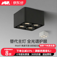 爱斯兰 明装筒灯 四头斗胆灯 36W 调光调色 砂岩黑