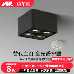 爱斯兰 明装筒灯 四头斗胆灯 36W 调光调色 砂岩黑