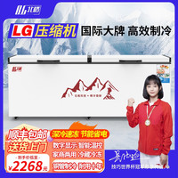 北格 BG 大冰柜商用全冷冻大型冷柜大容量单温双温2米冰箱