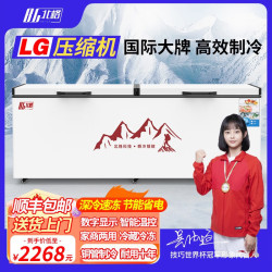 北格 BG 大冰柜商用全冷冻大型冷柜大容量单温双温2米冰箱
