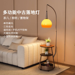 远盛达 落地灯中古风卧室床头柜一体柚子灯客厅沙发旁美式中式茶几钓鱼灯 常规款