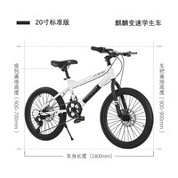 永久(FOREVER)儿童自行车山地车男女脚踏车6-10岁童车 麒麟 20寸变速白色