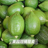 一级广东香水柠檬青柠檬无籽新鲜手打浓香奶茶店香柠檬茶用多汁
