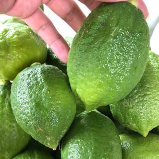 一级广东香水柠檬青柠檬无籽新鲜手打浓香奶茶店香柠檬茶用多汁